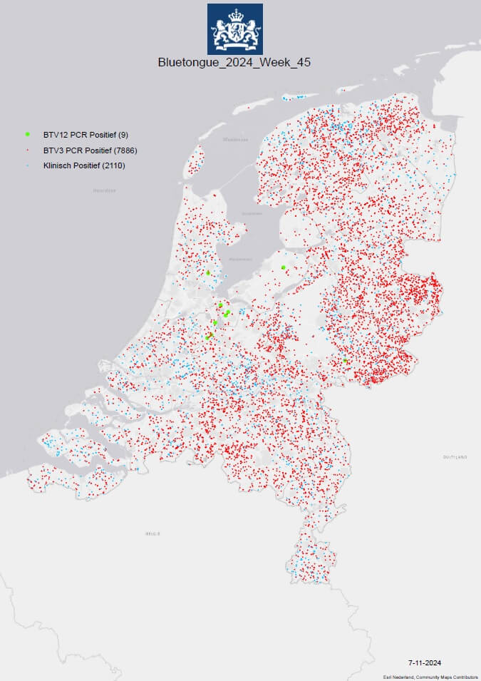 Blauwtongbesmettingen in 2024 over 10.000