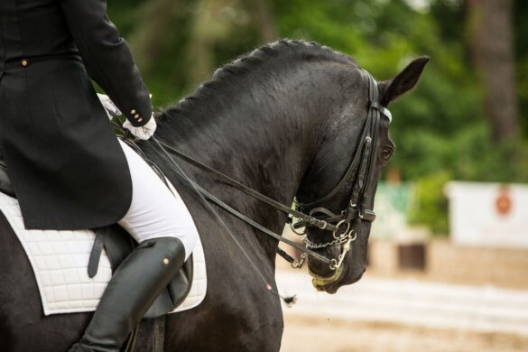 Charlotte Dujardin