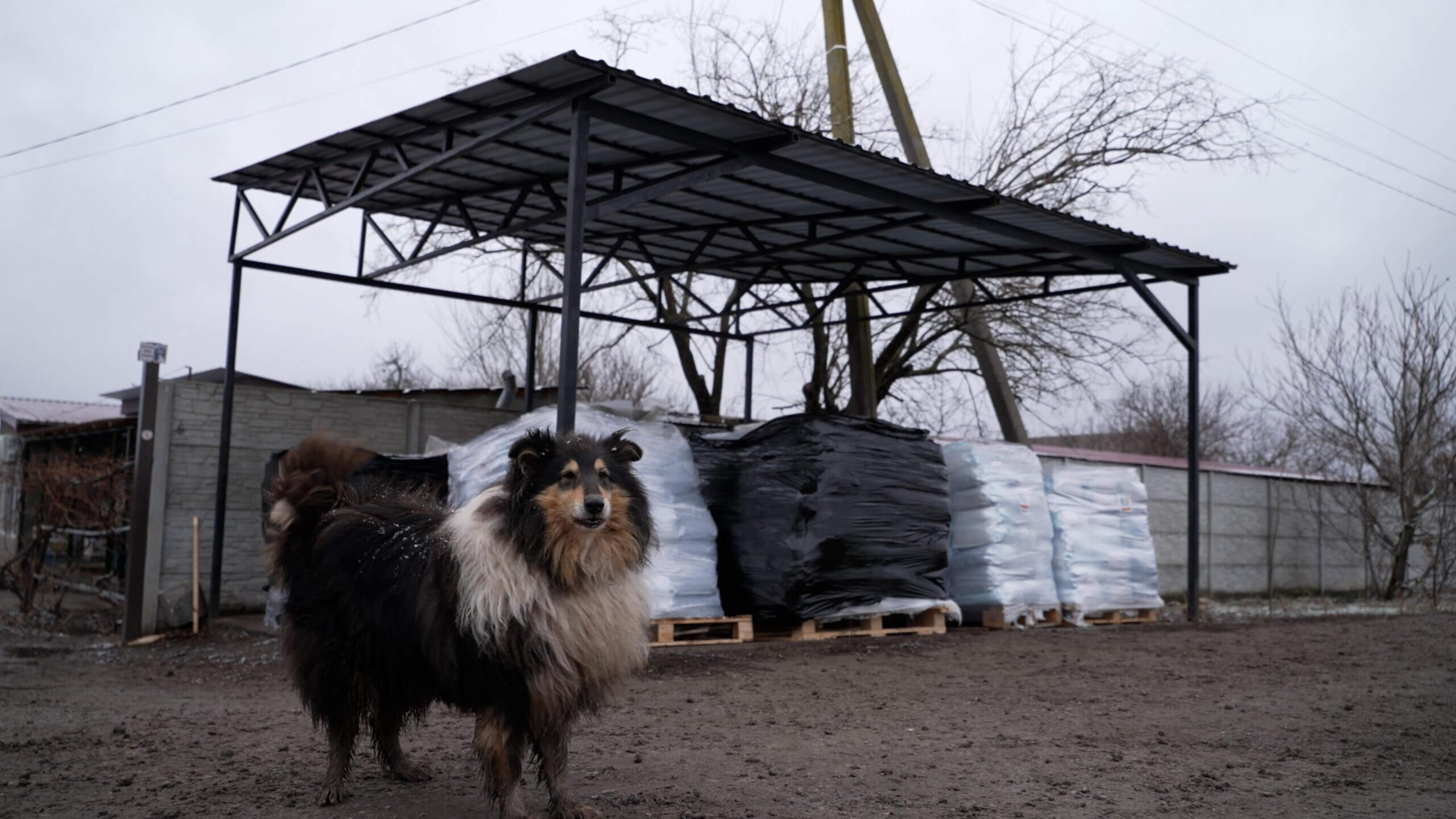 Met 17.000 kilo voer naar Pegasus