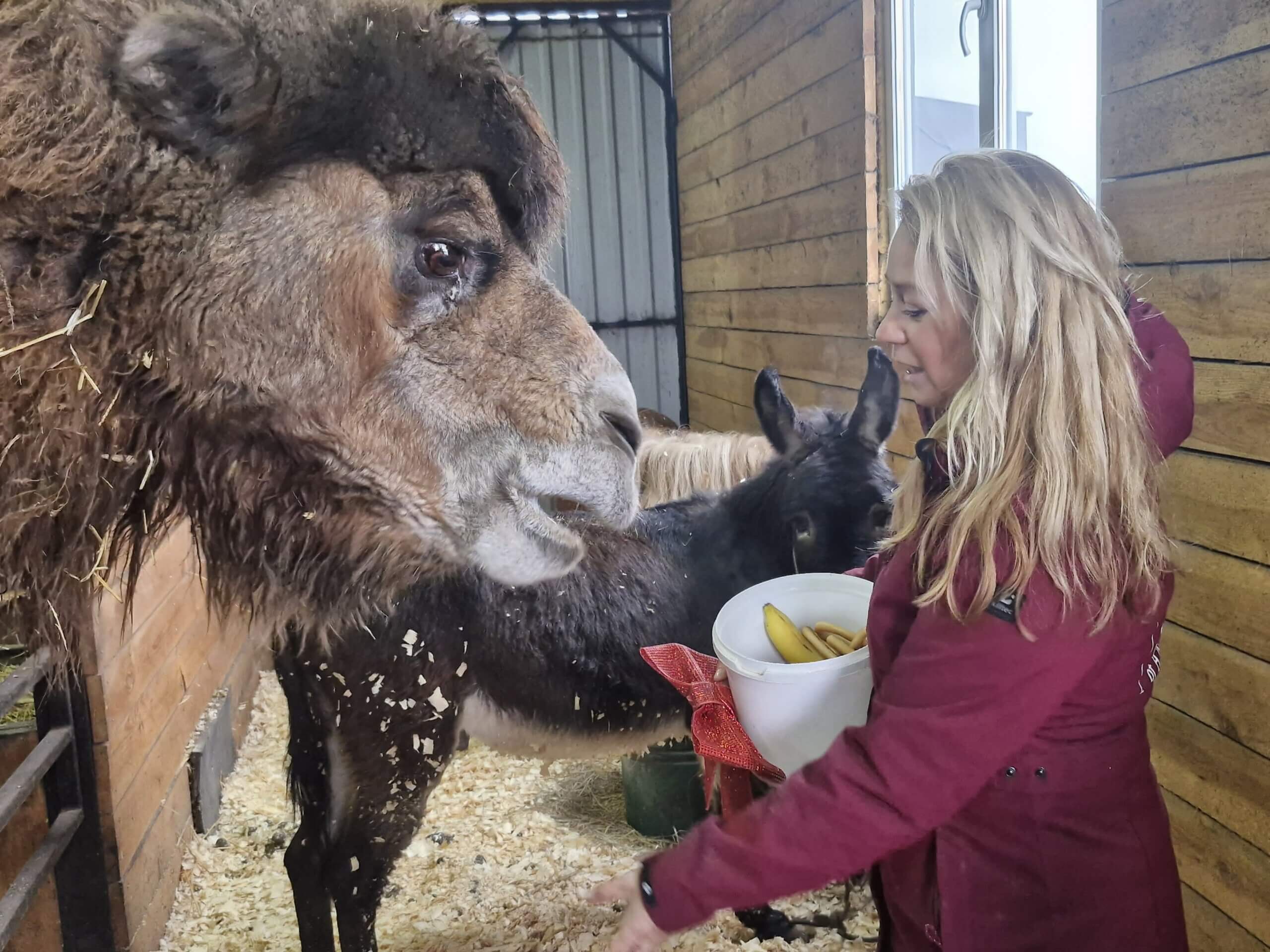 Met 15.000 kilo voer naar Pegasus