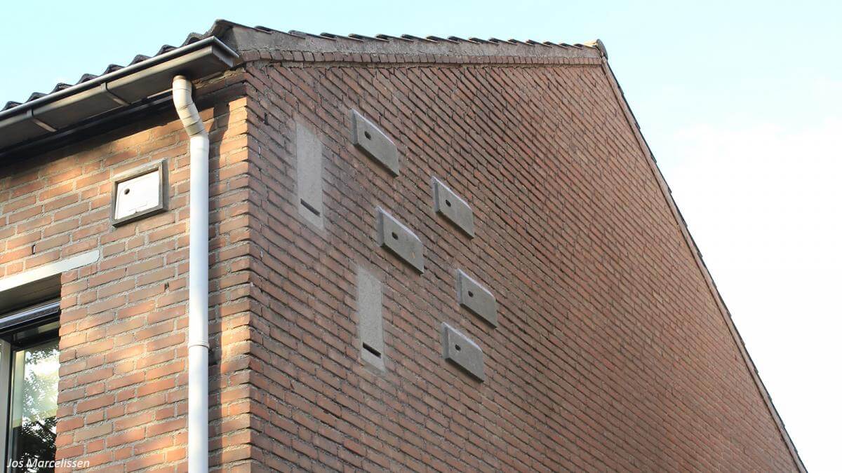 Inbouwkasten voor vleermuis, huismus en gierzwaluw niet overbodig