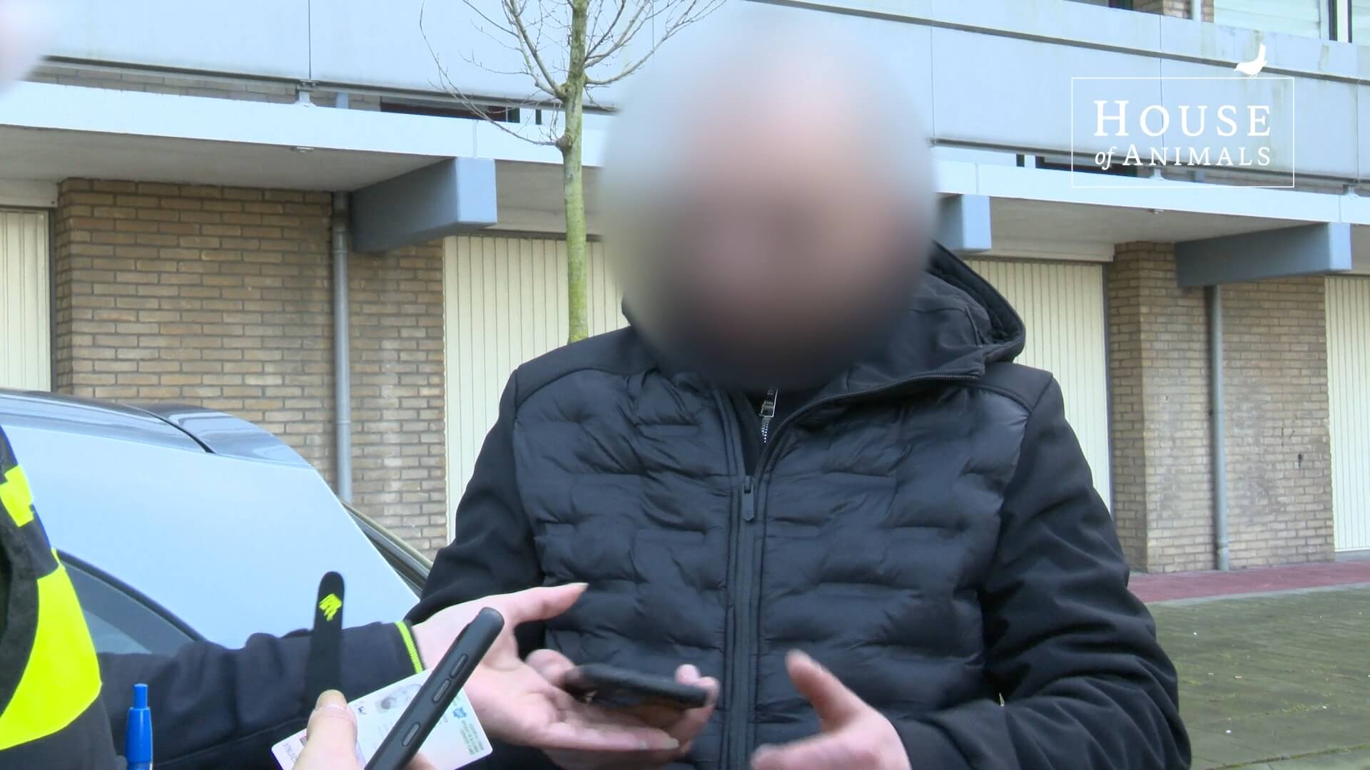 Illegale hondenhandel ontmaskerd in Zaandam