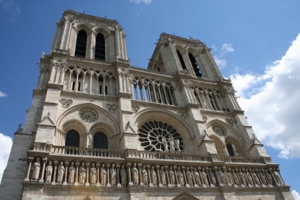 Notre-Dame een ‘stedelijk natuurreservaat’ voor wilde dieren