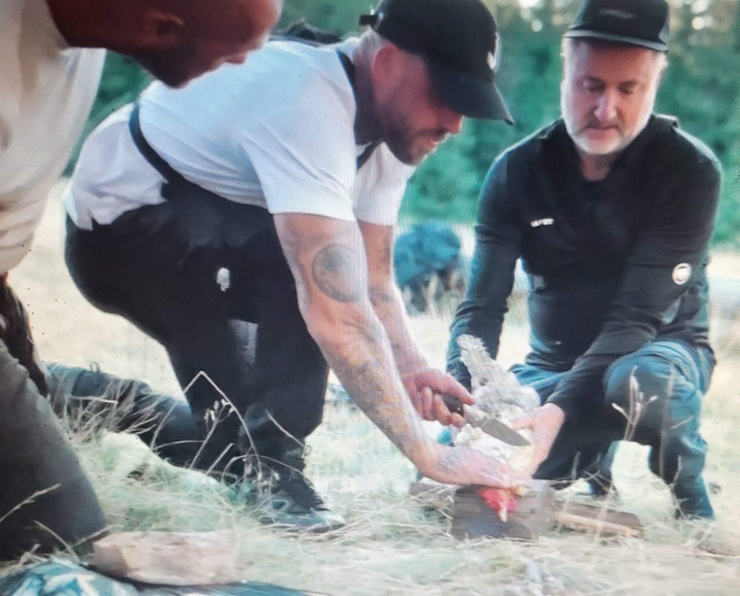 BN'ers slachten kip voor kijkcijfers