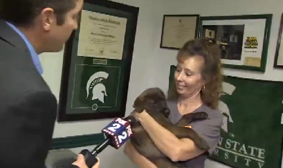 Deze puppy is gered uit het huis waar de mishandelingen plaatsvonden| Screenshot video Fox2