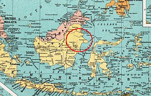 Piepvandaag Borneo