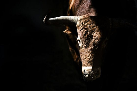 mijlpaal stierenrennen - De dertien meest verschrikkelijke festivals