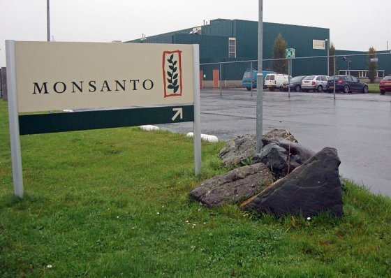 Monsanto - biotech