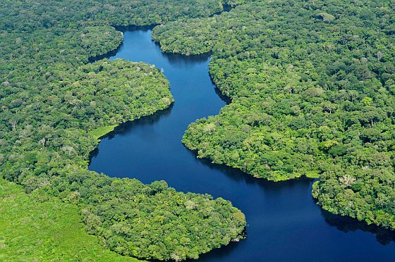 Amazonegebied - biodiversiteit