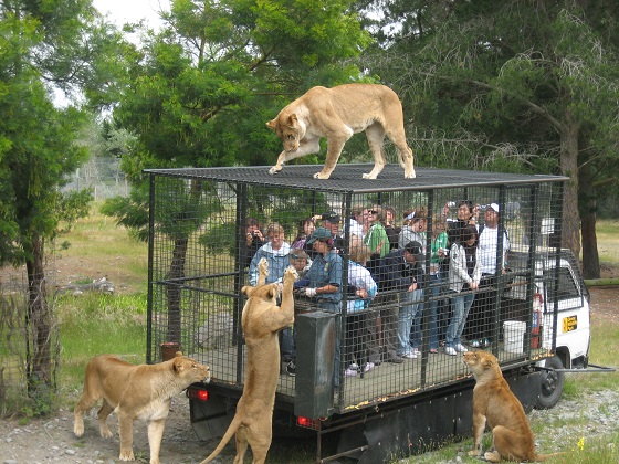 dierentuinen