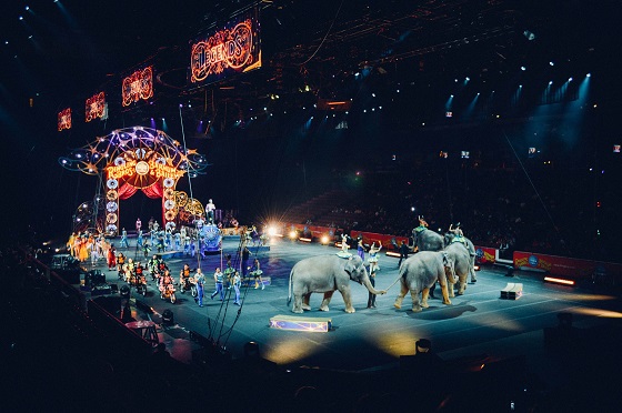 Federaal wetsvoorstel voor einde aan lijden wilde dieren in circussen VS