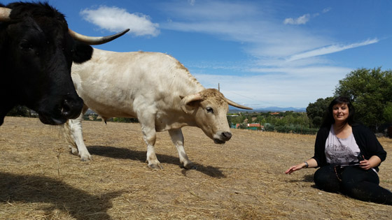 Gezellig poseren met twee 'gevaarlijke' Spaanse stieren