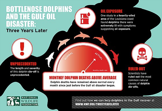 Infographic Deepwater Horizon - drie jaar later