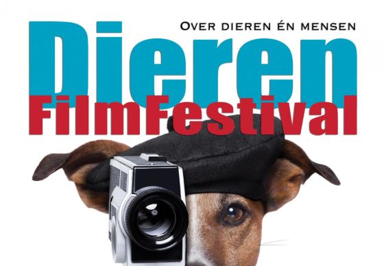 dierenfilmfestival