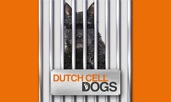 Dutch Cell Dogs