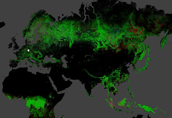 Global forest change - ontbossing