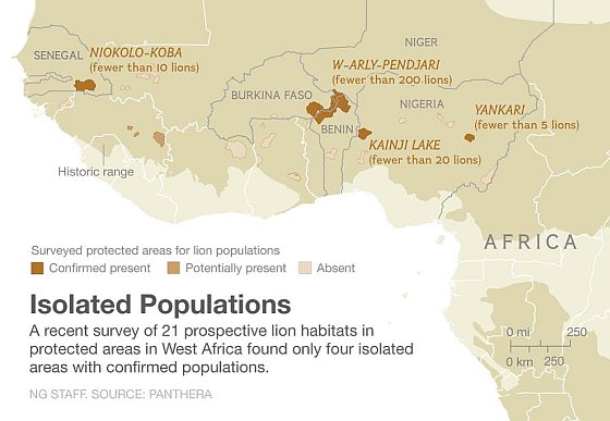 Isolated populations