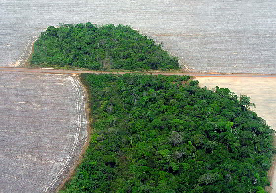 Mato Grosso - Brazilië - amazoneregio