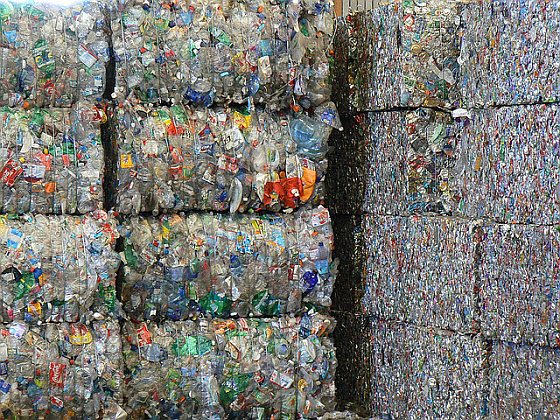 Plastic afval - milieuschade