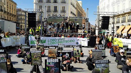 Protest Iberische wolf