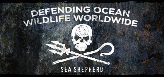 Sea Shepherd - Japanse walvisvangst