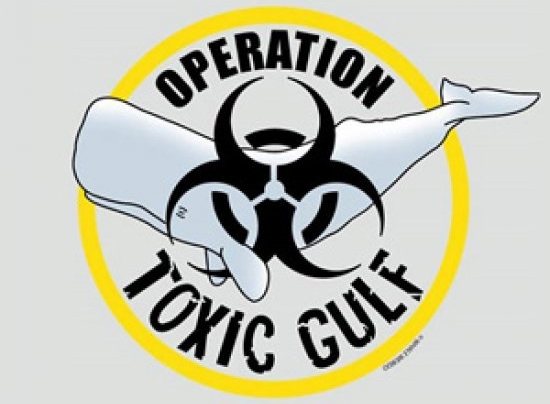 Toxic Gulf - Ocean Alliance