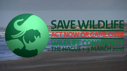 Save Wildlife